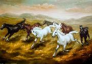 unknow artist Horses 08 oil on canvas